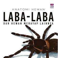 Anatomi hewan Laba laba dan hewan merayap lainnya