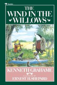 Image of the wind in the willows